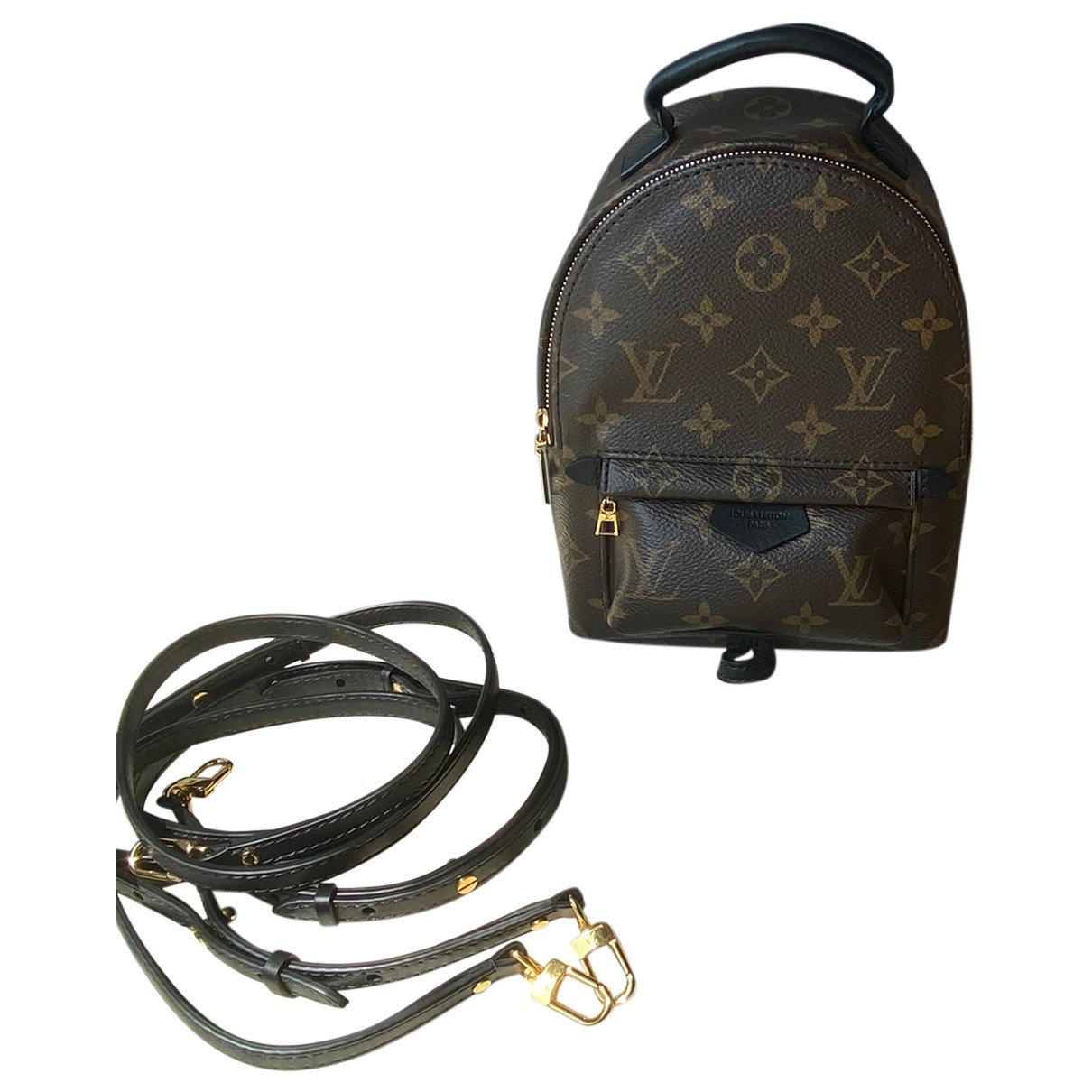 Palm springs cloth backpack Louis 